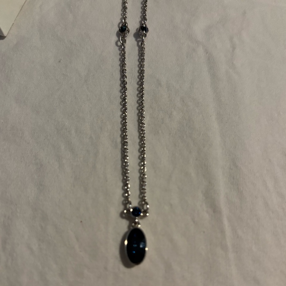Touchstone Crystal Spec Necklace, NIB